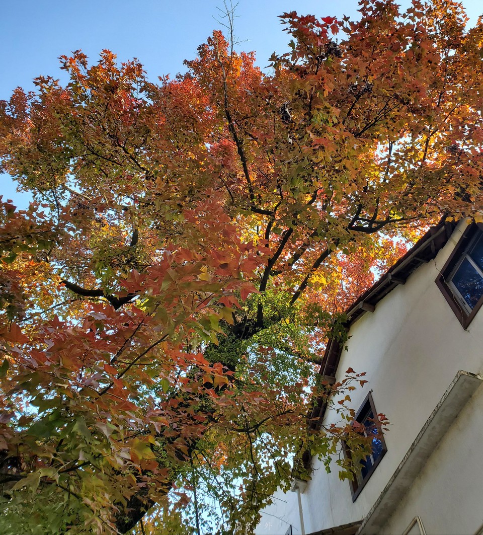 微信图片_20201109110321