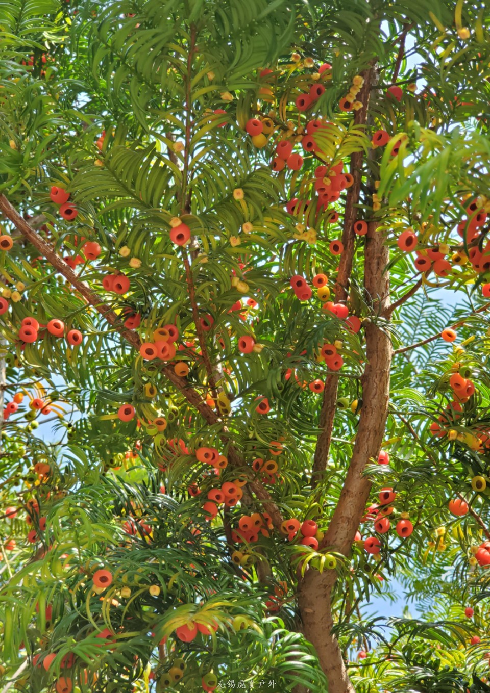 微信图片_20201109110324