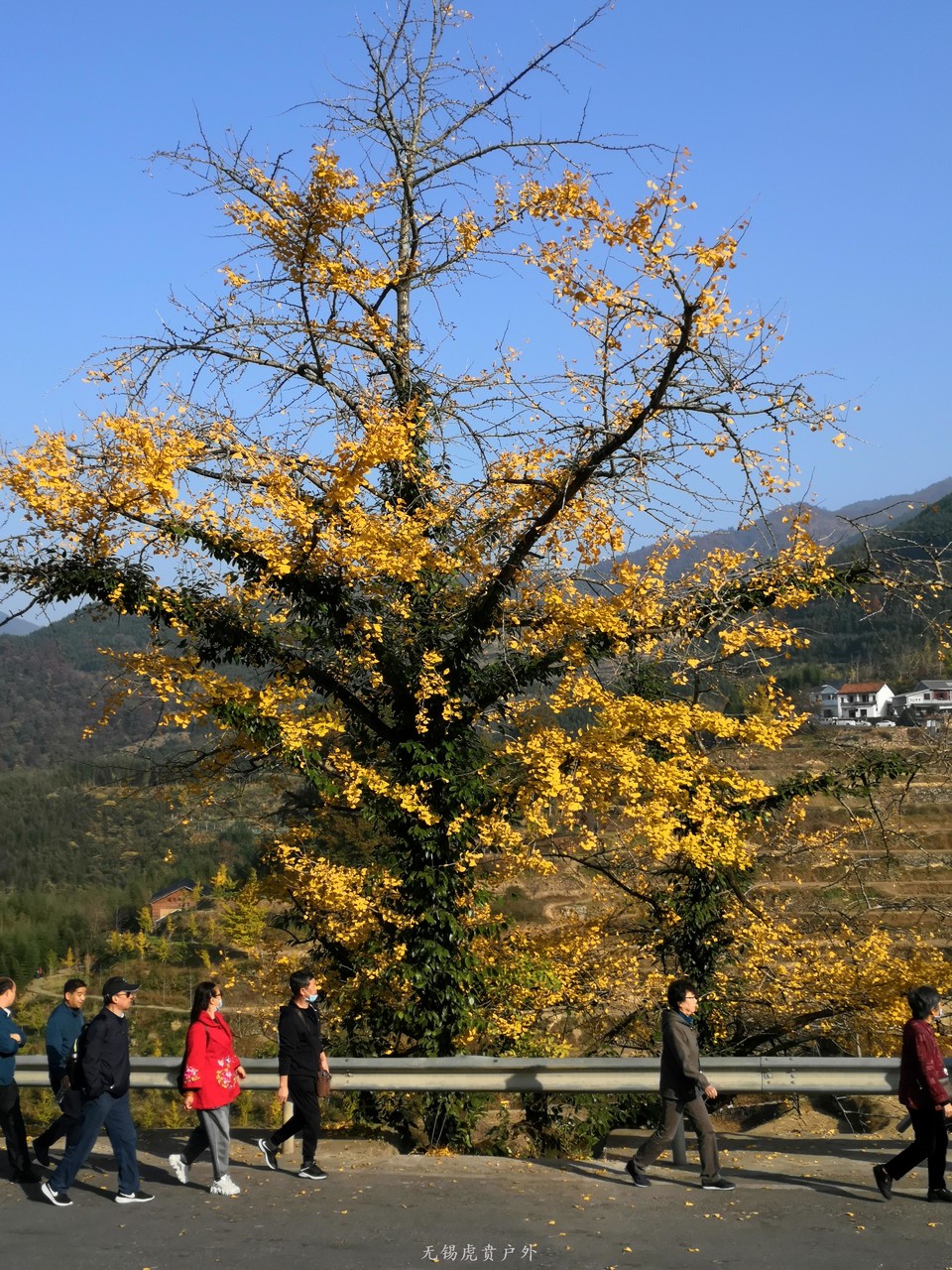 微信图片_20201109110327