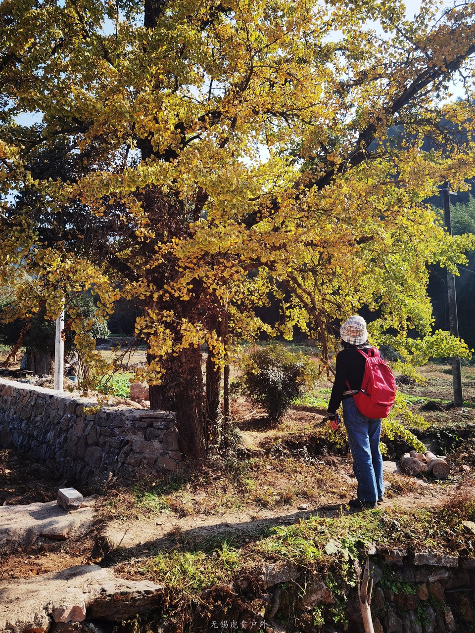 微信图片_20201109110336