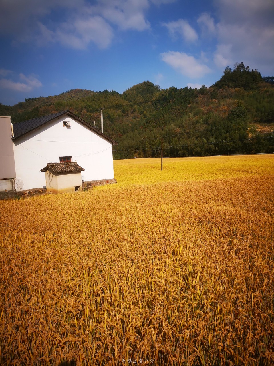 微信图片_20201116095901