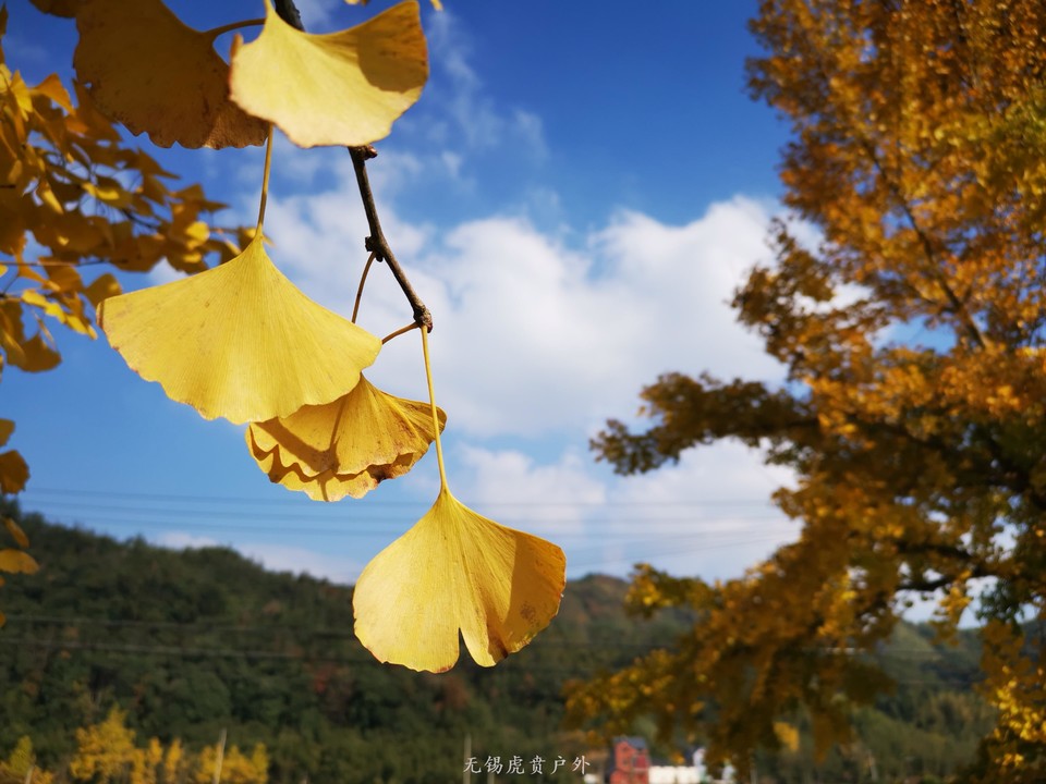 微信图片_20201116095904