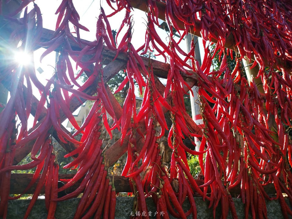 微信图片_20201116095910