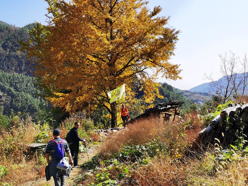 微信图片_20201116095924