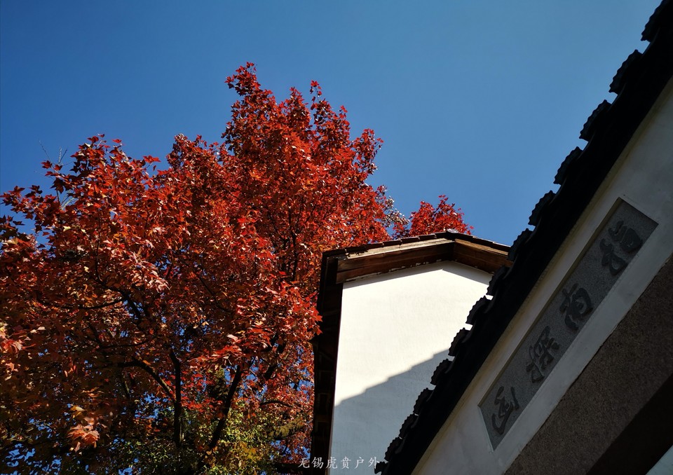 微信图片_20201116095928