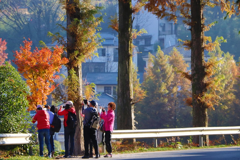 微信图片_20201116100011