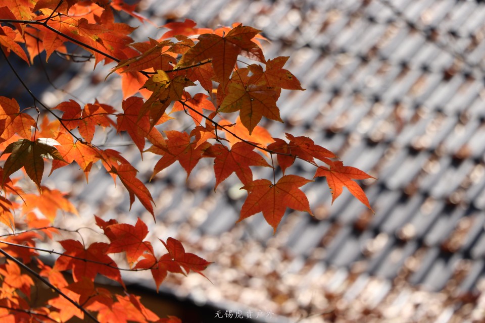 微信图片_20201116100022