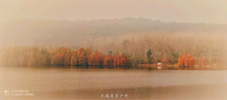 NA202011151006160042-00-000000000