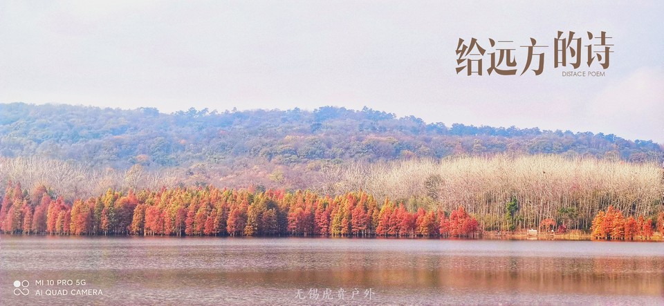 NA202011151023010032-00-000000000