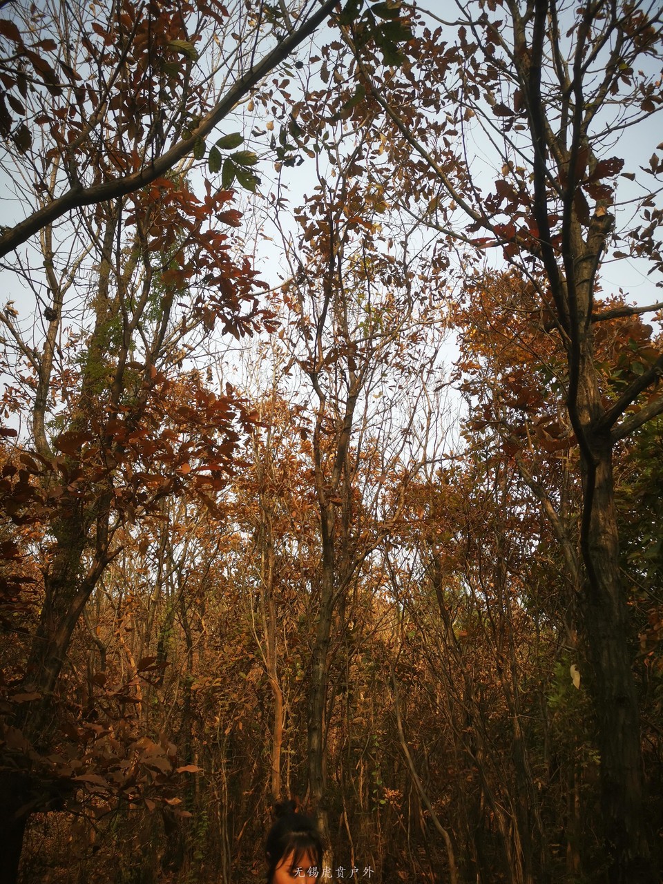 微信图片_202012171050412