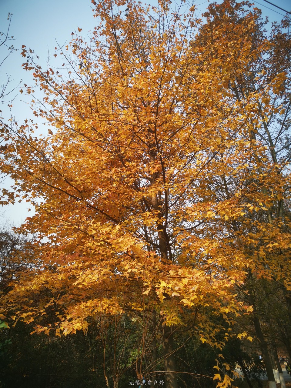 微信图片_202012171050415