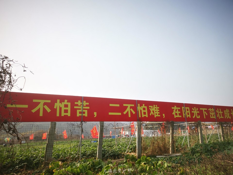 微信图片_202012171050416