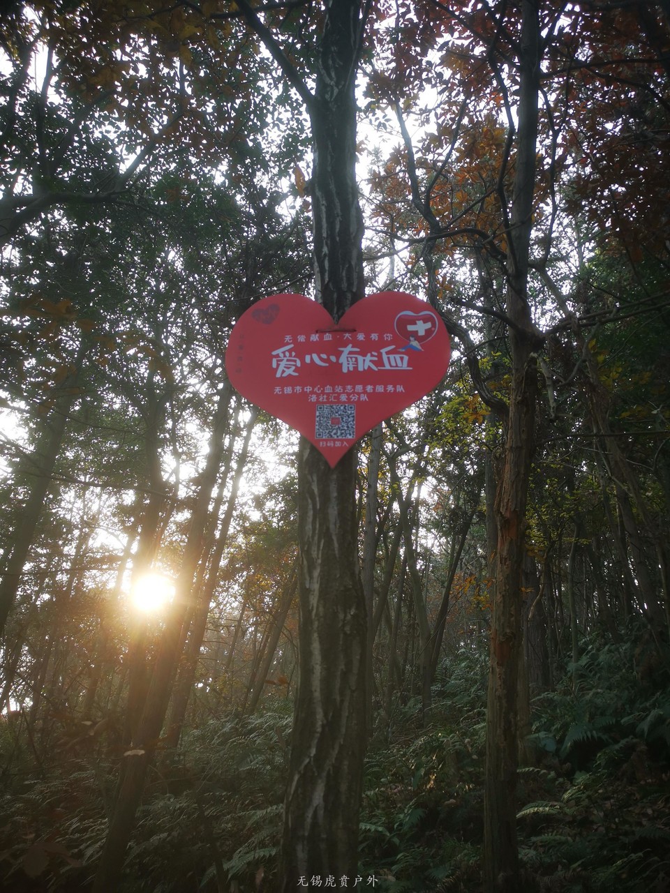 微信图片_202012171050419