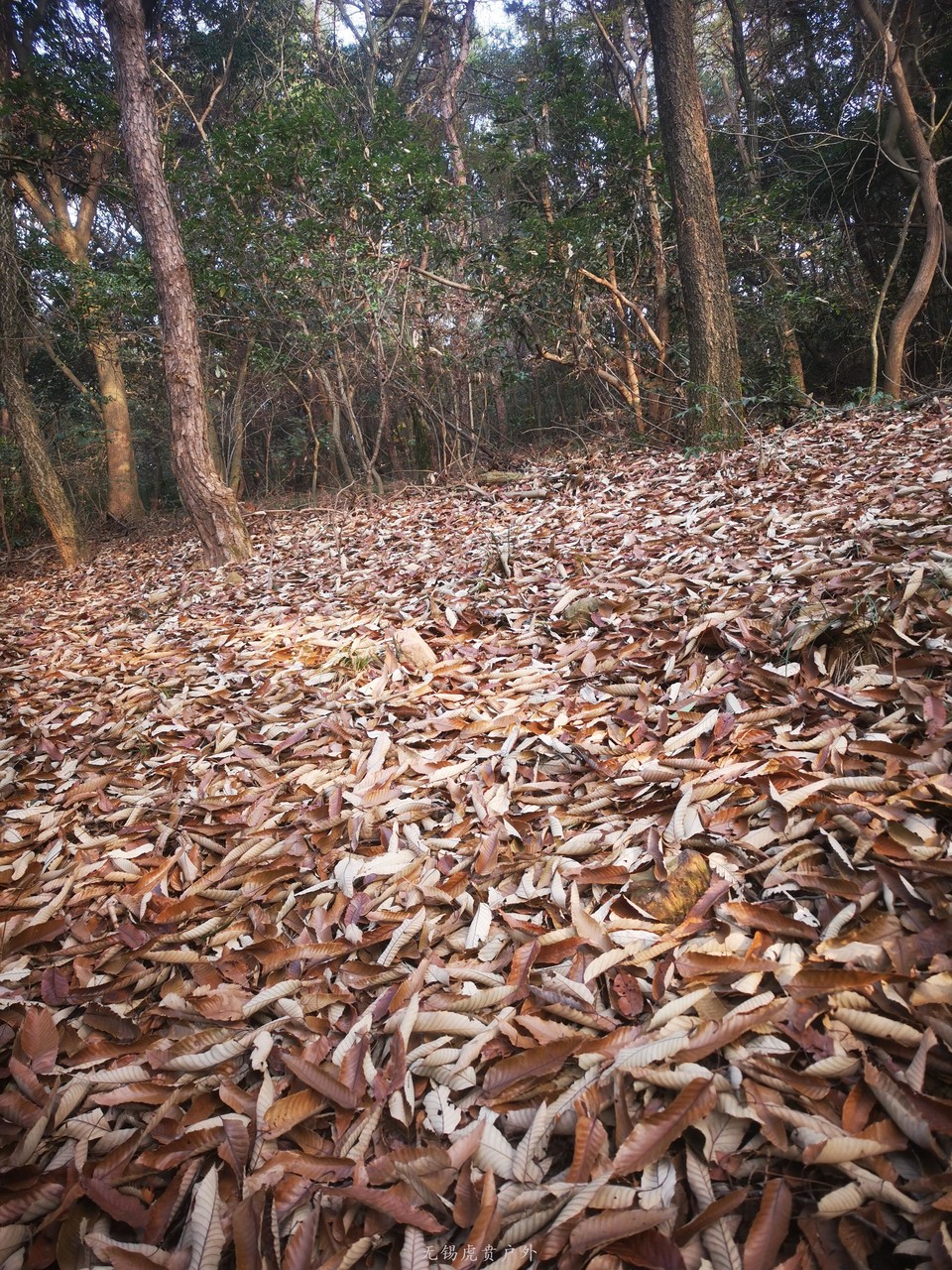 微信图片_2020121710504114