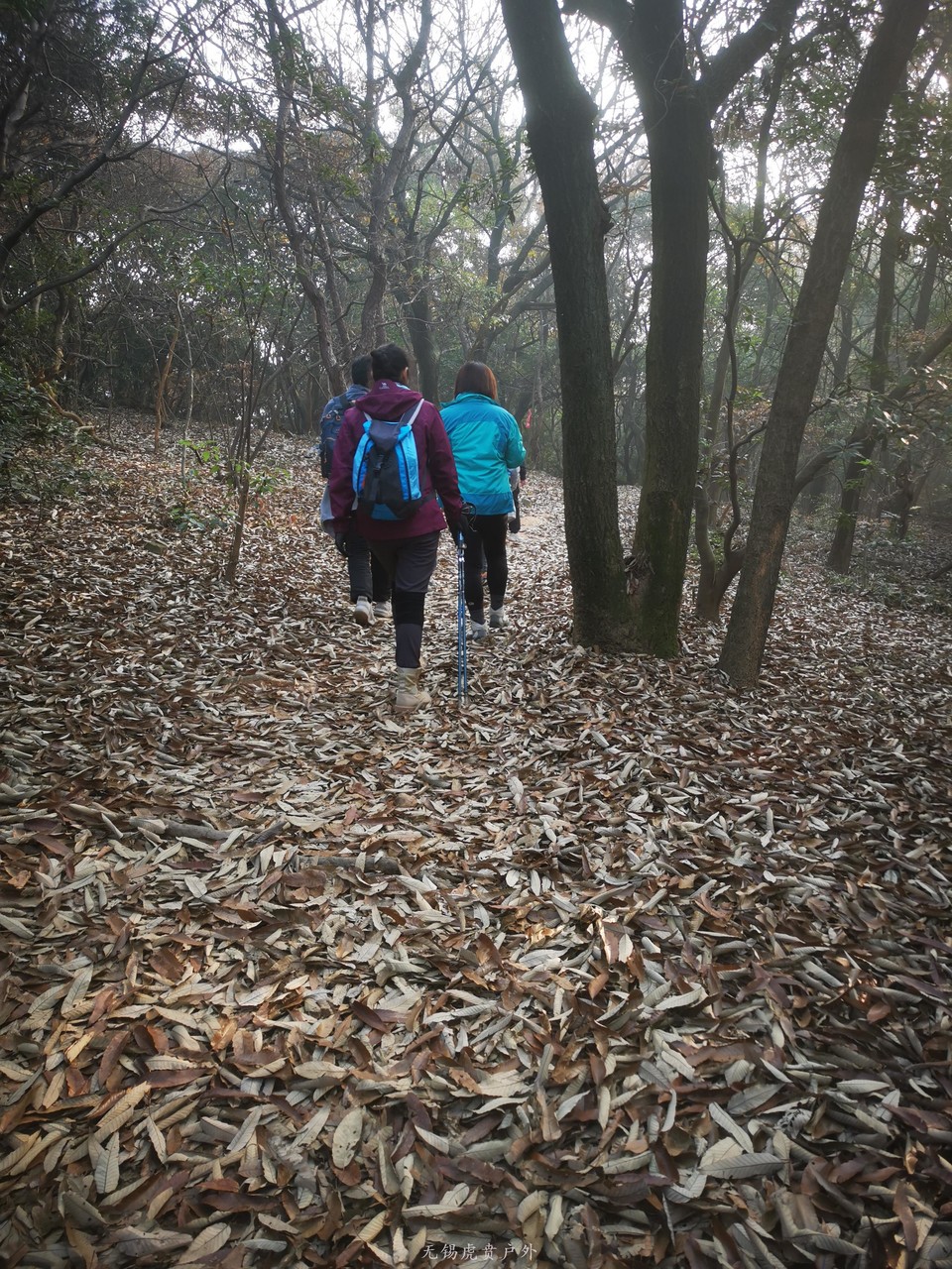 微信图片_2020121710504115