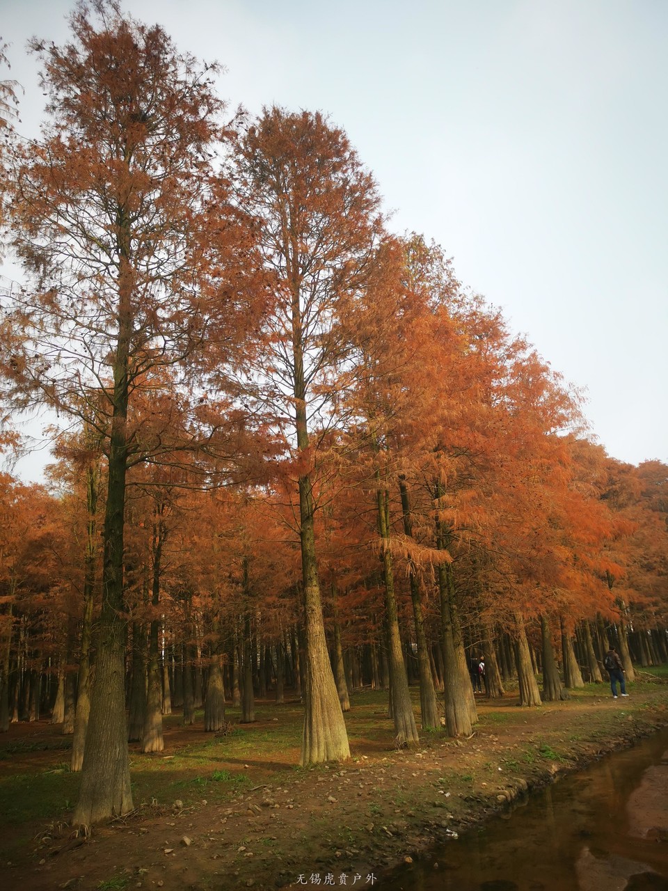 微信图片_20201217110218