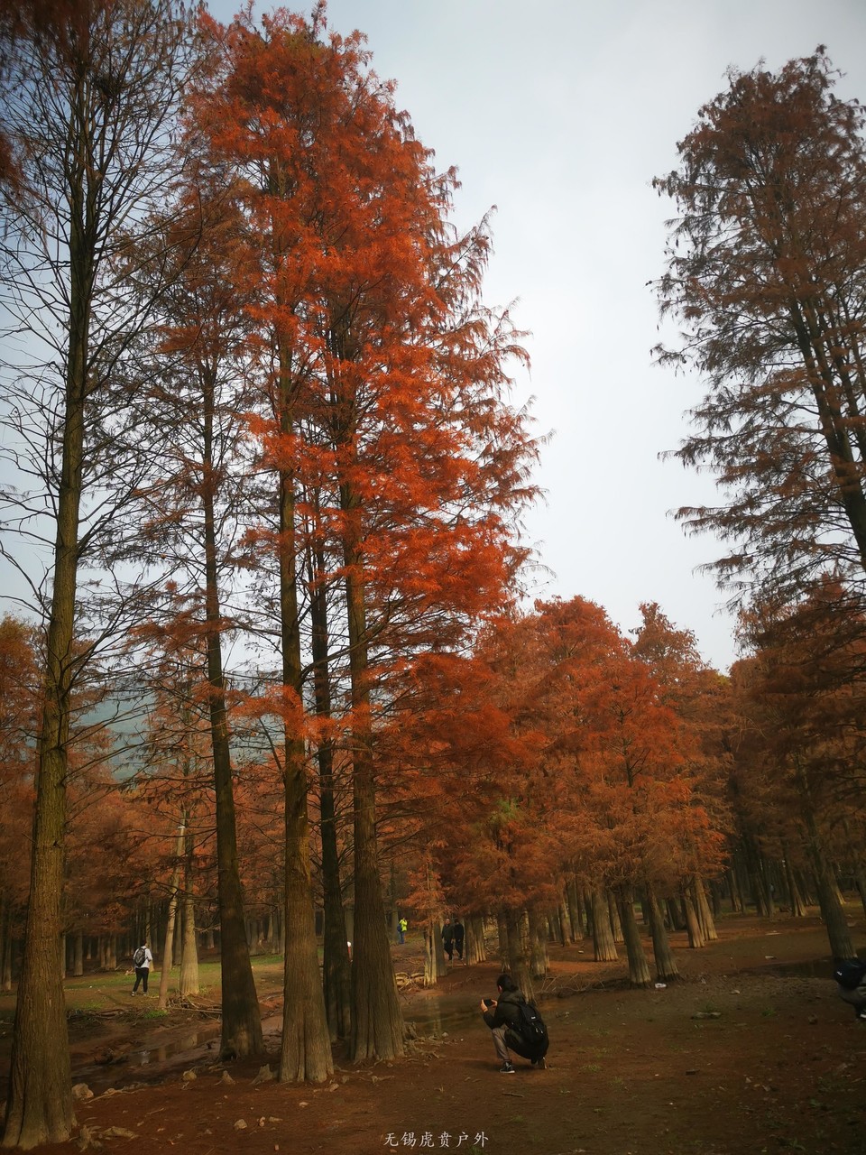 微信图片_202012171102181