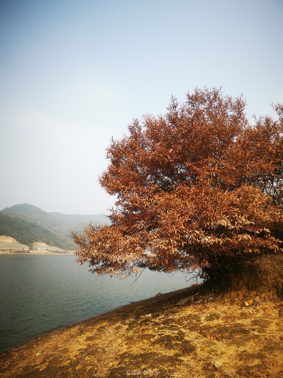 微信图片_202012171102182