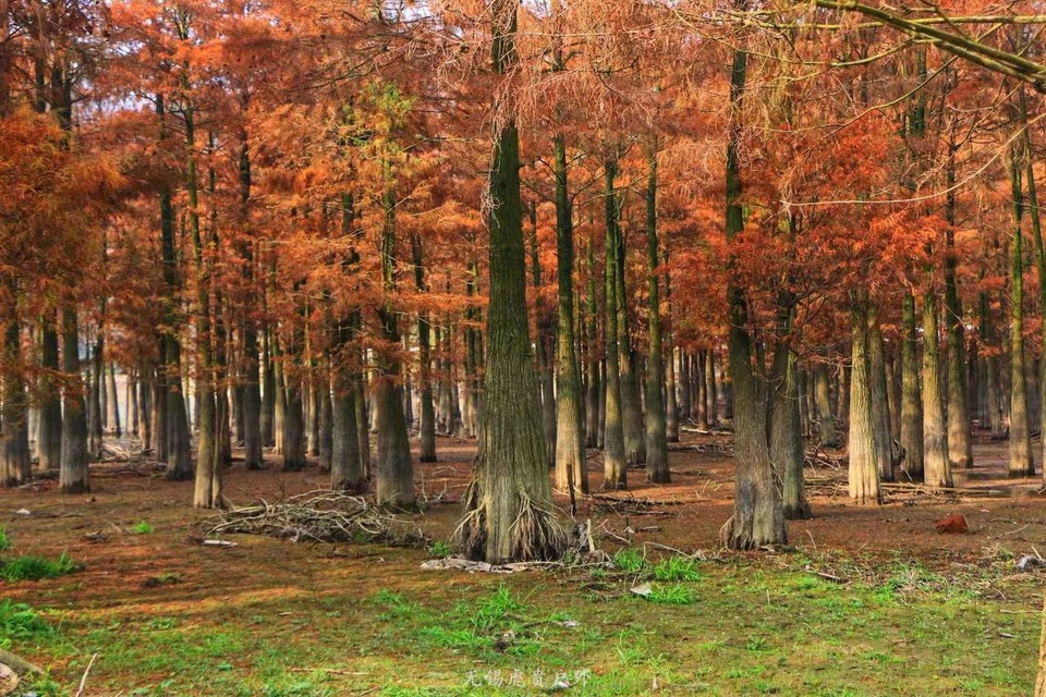 微信图片_202012171102183