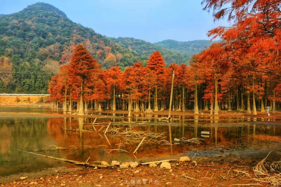 微信图片_202012171102184