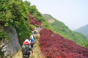 【4.5-6】十里海棠樱花步道、醉美栖霞坑、 打卡民国风古村