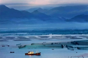 【4.25-26】欢聚星空海鲜趴，东海云顶漫步千年杜鹃，打卡许家山石头村