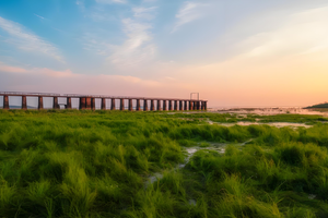 【11.8】邂逅水上列车、误入宫崎骏同款龙猫草海，闲逛高淳老街