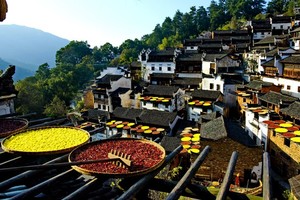 【10.31-11.2下班出发】宏村秋色、塔川最美红叶季，篁岭徽韵秋色行摄之旅