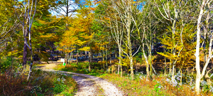 【11.8-9/11.15-16探险工会】赏秋黄金古道、走蜘蛛岭，登顶奉化最高峰