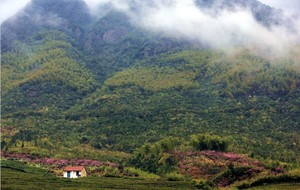 【4.25/5.2】山野漫行赏杜鹃，杭州小武功鸬鸟山环线