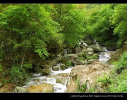 【11.21-22/11.28-29】踏秋奉化！栖霞坑古道赏红枫，游岩头古村，漫步溪口老街