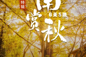 无锡自组团【11.25-30已满/12.2-7】大理+腾冲银杏村+和顺古镇+热海+北海湿地+温泉酒店，滇西精华6日