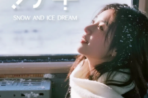 雪国列车SUV小团丨深度纯玩5天4晚丨北极村+北红村+圣诞村+龙江第一湾+中国最北点+白桦林+马拉爬犁+驯鹿+滑雪