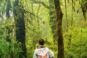  2025-2026秘境哀牢山 | 昆明 哀牢山 元阳梯田 建水古城 5日活动