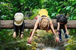 【象往版纳】野象谷｜勐泐大佛寺｜中科院植物园｜雨林徒步探秘｜曼远傣族村寨｜曼听公园｜般若寺｜湄公河星光夜市｜5天精品Mi