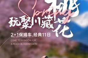 【3.23-4.2虎贲自组-川藏桃花节】此生必驾318升级2+1保姆车11日