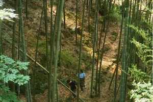 【12.20】徒步太华红色古道，寻访九峰古刹