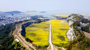 【3.22/3.28】蝙蝠线独占鳌头、登高远眺太湖，半岛菜花秘境