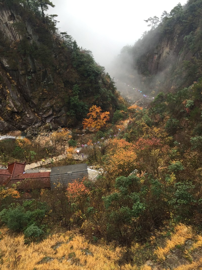 QQ图片20161018150549.jpg