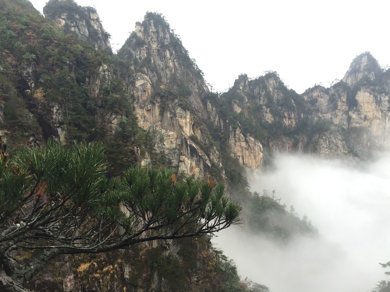 QQ图片20161018150558.jpg