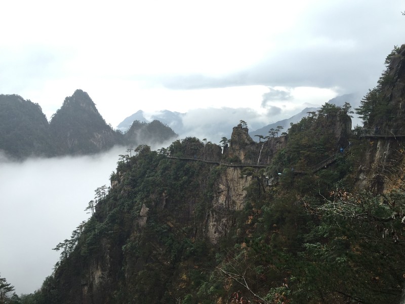 QQ图片20161018150615.jpg