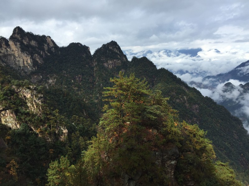 QQ图片20161018150656.jpg