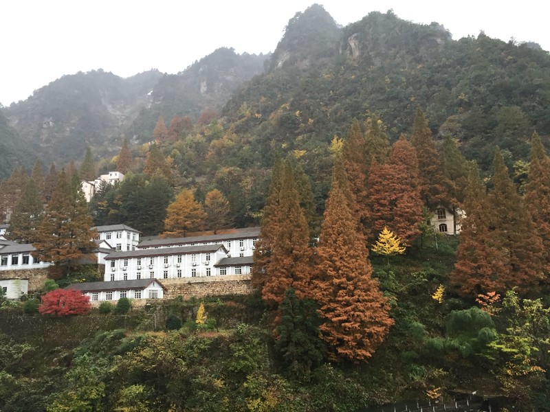 QQ图片20161018150841.jpg