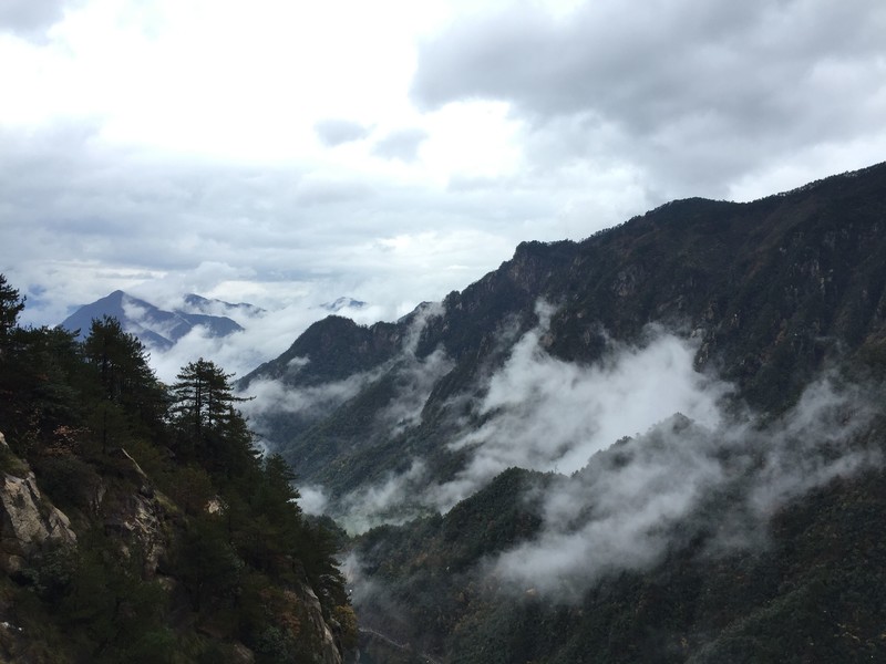 QQ图片20161018150720.jpg