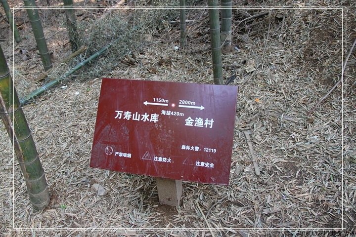nEO_IMG_IMG_4302_副本.jpg