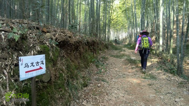 gallery.1451731822875.jpg