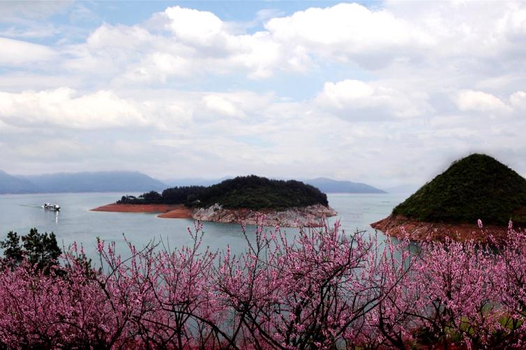 【活动关闭系统错误】郴州春满东江湖浪漫桃花岛 行摄高椅岭赏碧水