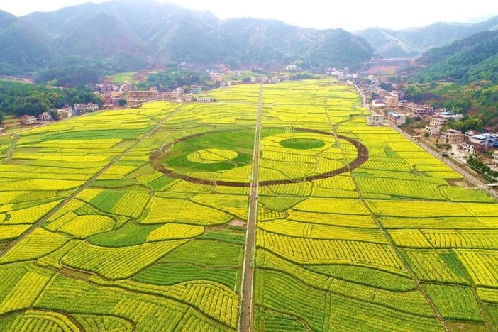 【3月24日】衡阳库宗桥赏太极油菜花海,踏青金华山(188元)