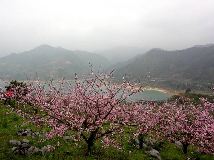 【 3月17-18日】郴州春满东江湖浪漫桃花岛 行摄高椅岭赏碧水丹霞(399