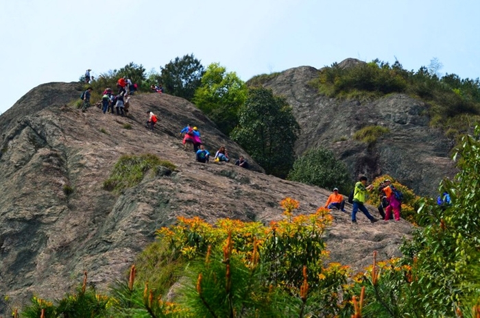 【淘自然】4.30 | 攀援乌石山,登高远眺,一起看杜鹃花